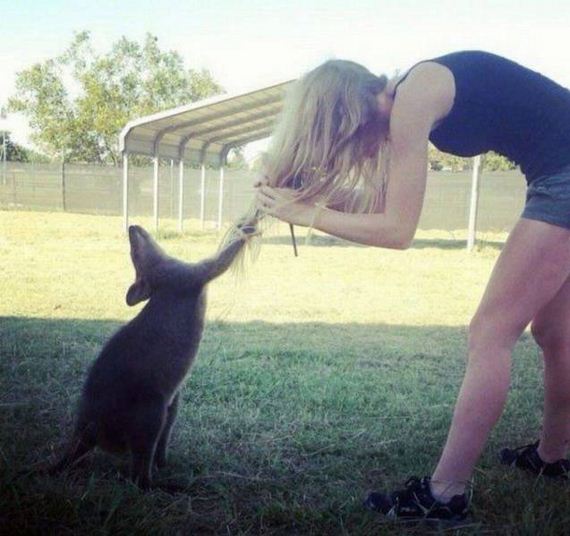 funny-pictures-1242