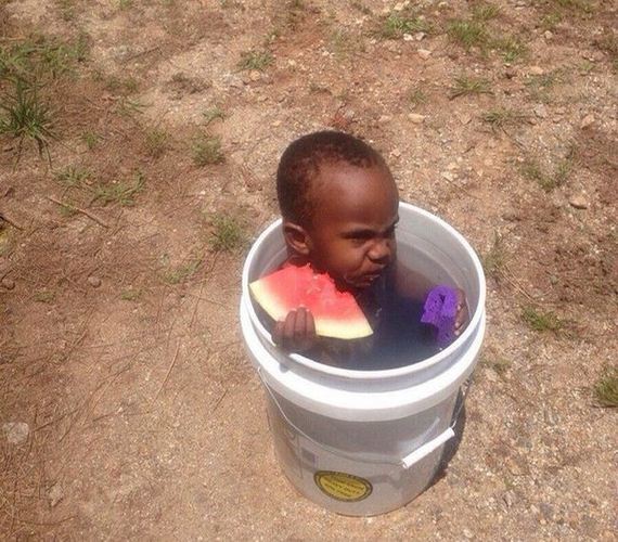 funny-pictures-1243