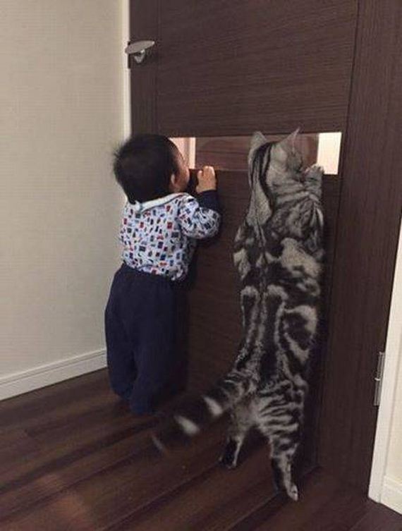 funny-pictures-1243