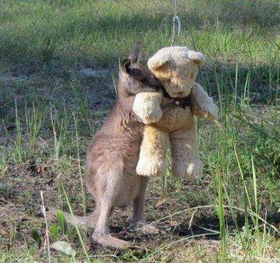 funny-pictures-1243