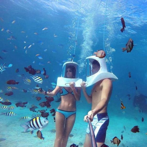 funny-pictures-1243