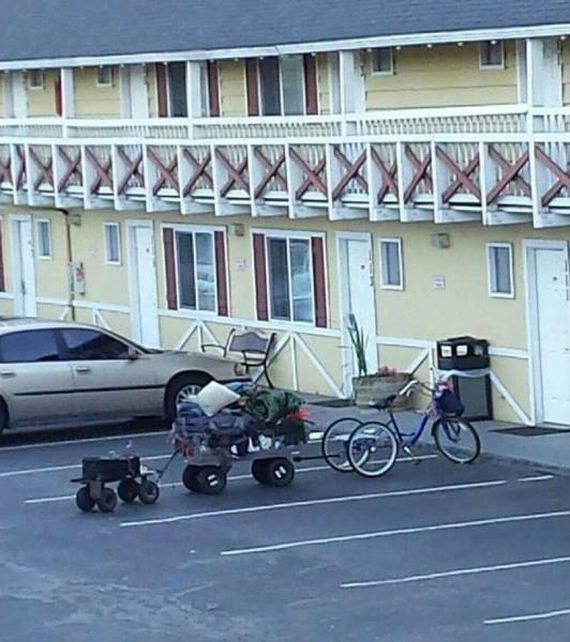 funny-pictures-1243