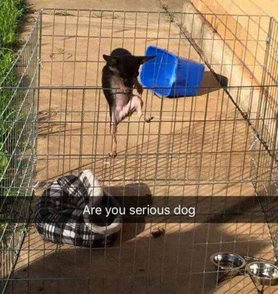 funny-pictures-1244