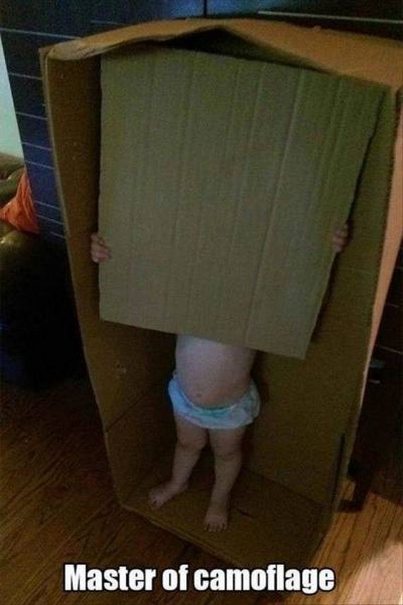 funny-pictures-1244