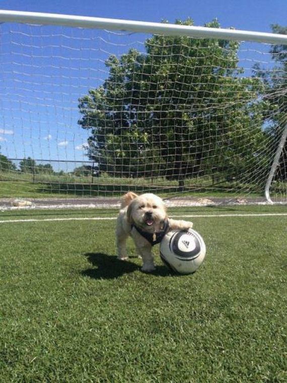 funny-pictures-1244