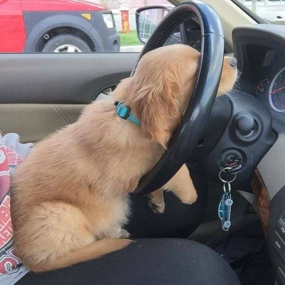 funny-pictures-1244