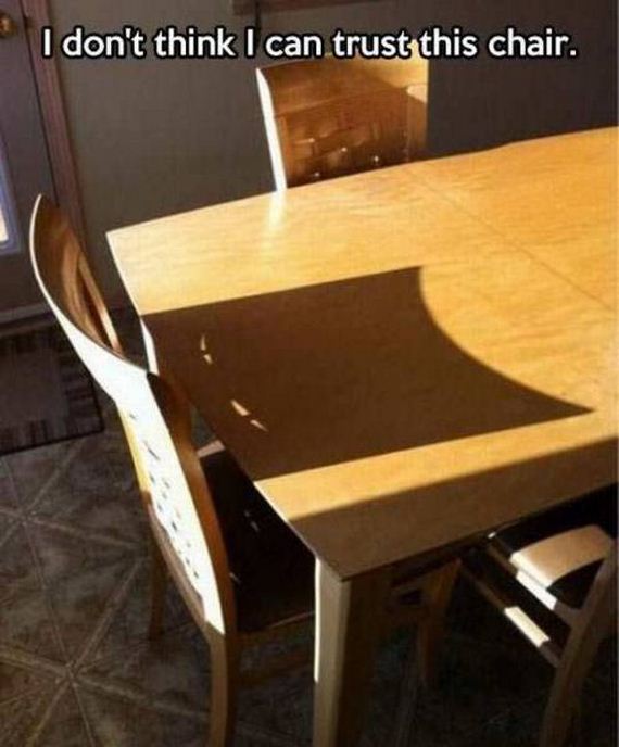 funny-pictures-1245