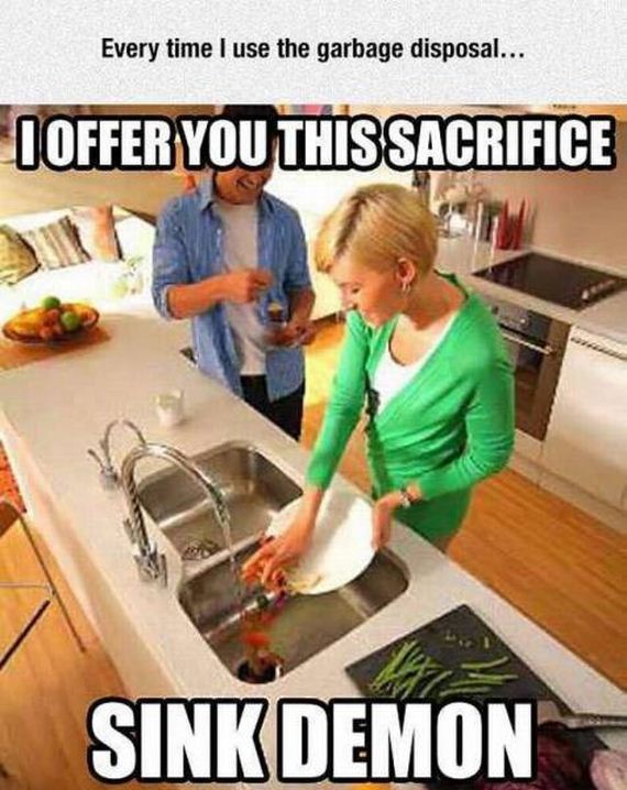 funny-pictures-1245