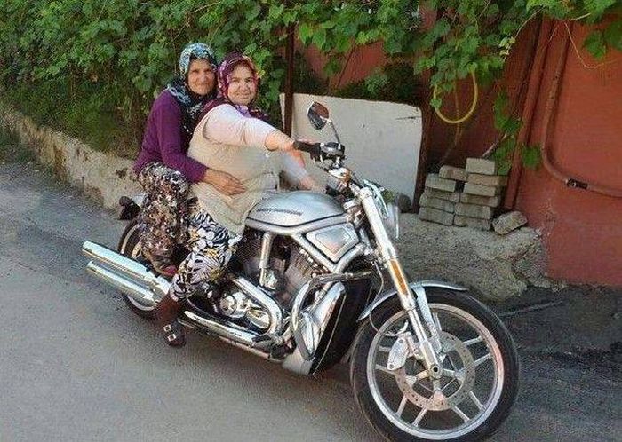 funny-pictures-1246