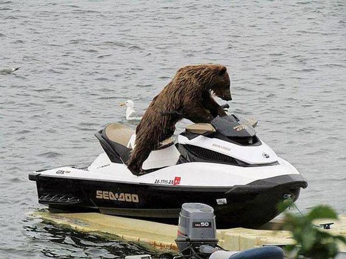 funny-pictures-1246