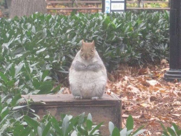 funny-pictures-1246