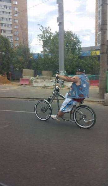 funny-pictures-1246