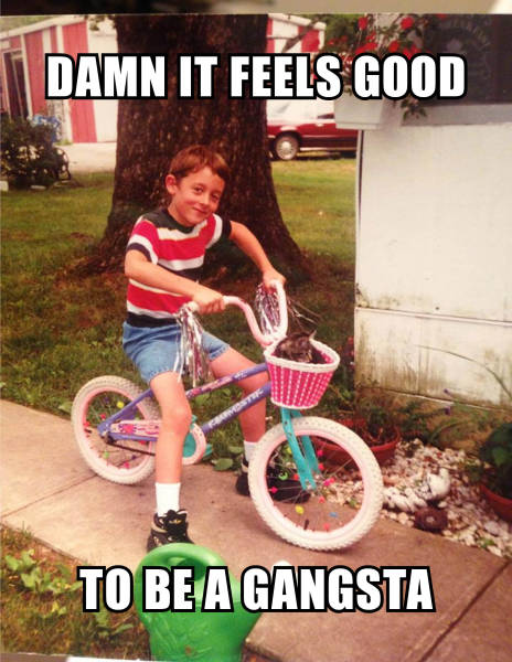 funny-pictures-1246
