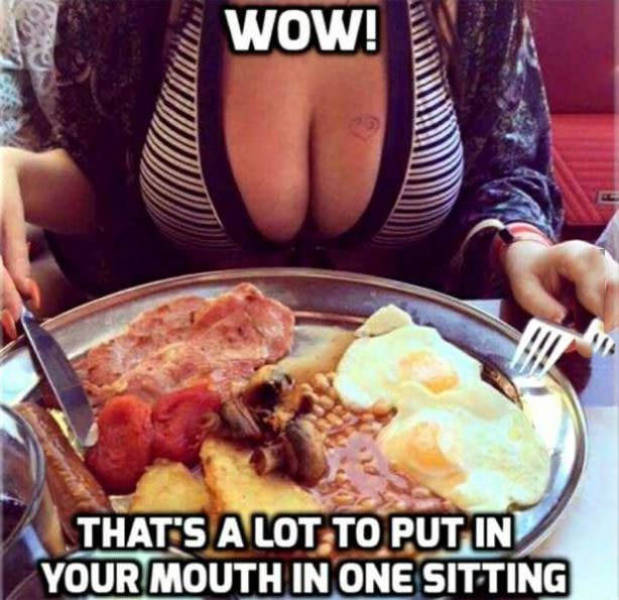funny-pictures-1246