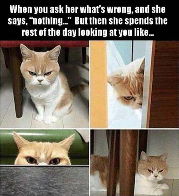 funny-pictures-1247