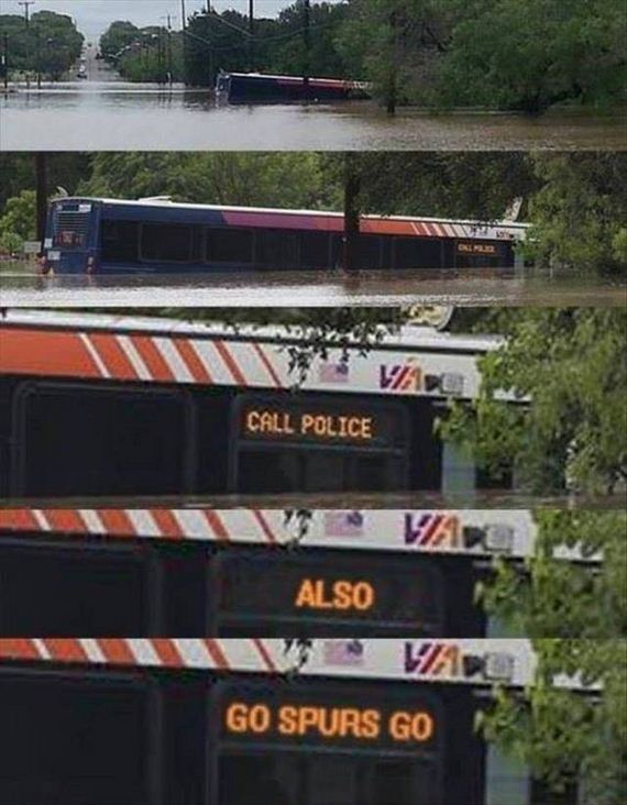 funny-pictures-1247