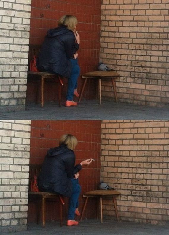 funny-pictures-1247
