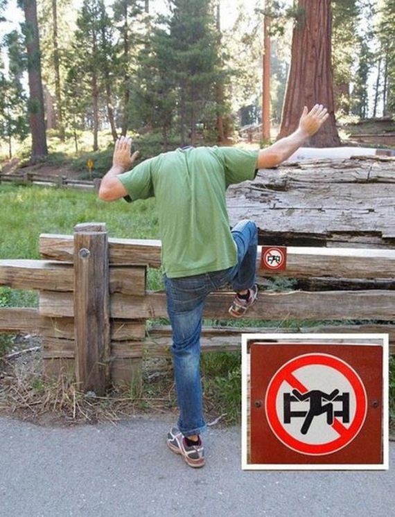 funny-pictures-1247