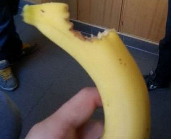 funny-pictures-1247
