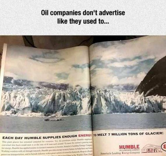 funny-pictures-1248