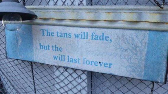 funny-pictures-1248