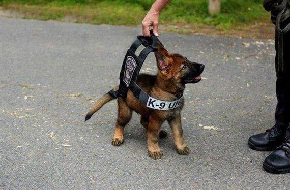 funny-pictures-1250