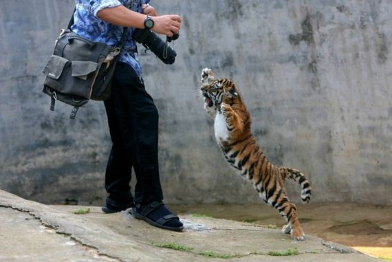 funny-pictures-1251