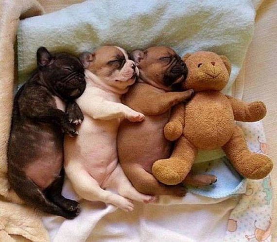 funny-pictures-1251