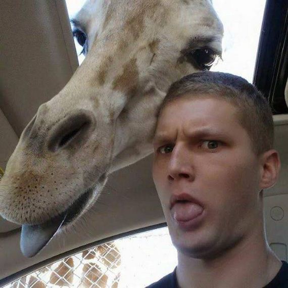 funny-pictures-1252