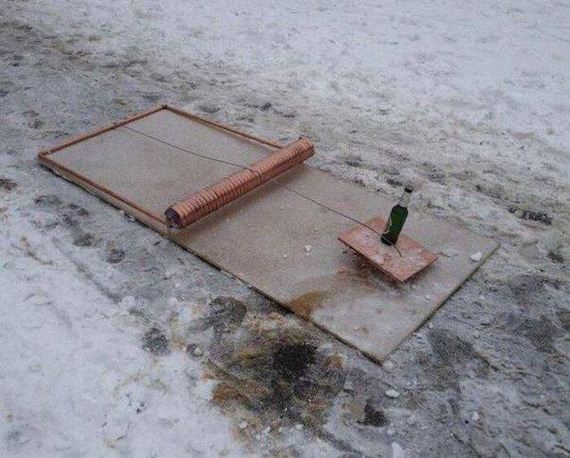 funny-pictures-1252