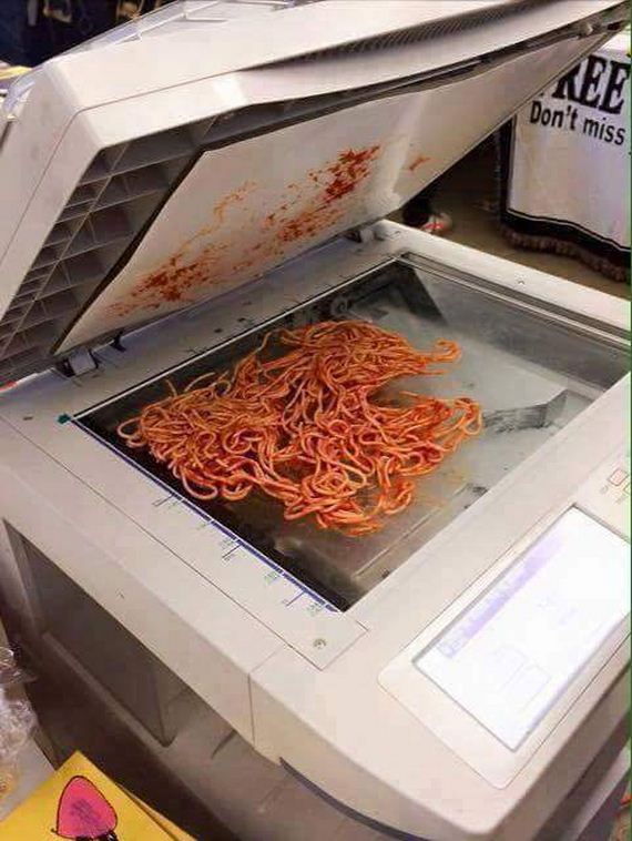 funny-pictures-1252