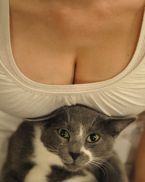 funny-pictures-1253