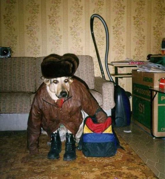 funny-pictures-1253