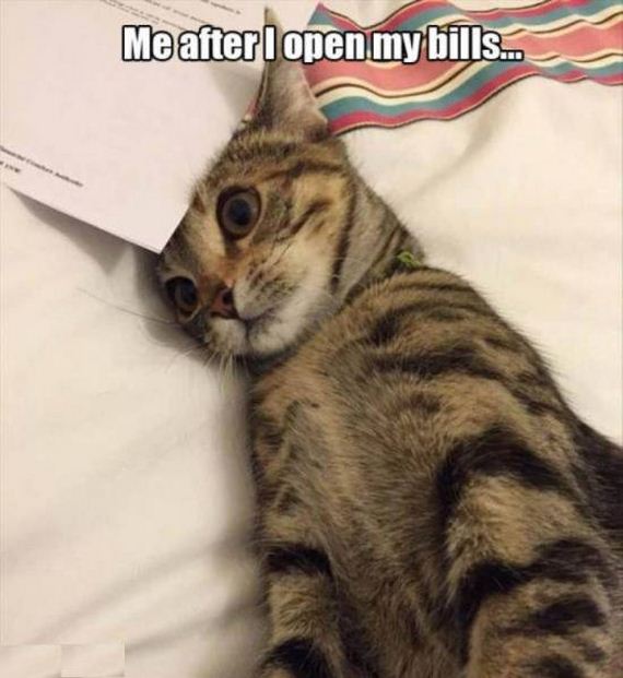 funny-pictures-1255