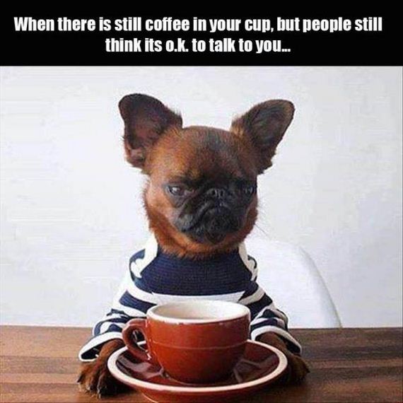 funny-pictures-1255