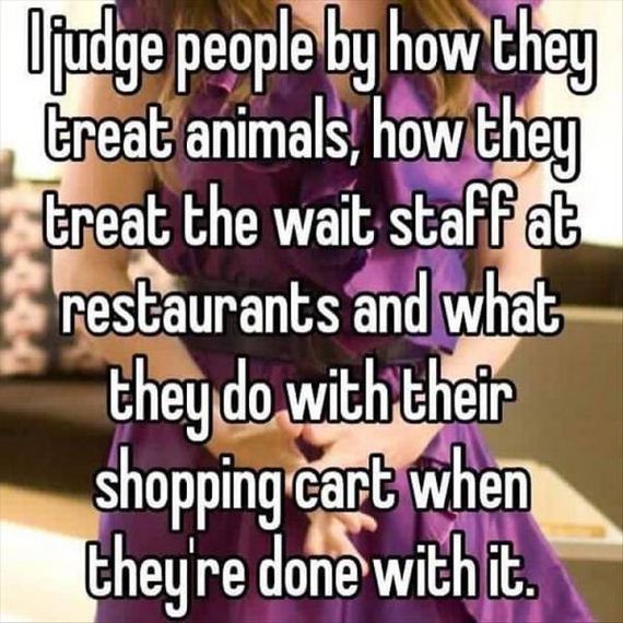funny-pictures-1255