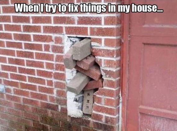 funny-pictures-1255