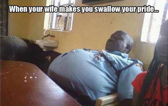 funny-pictures-1255