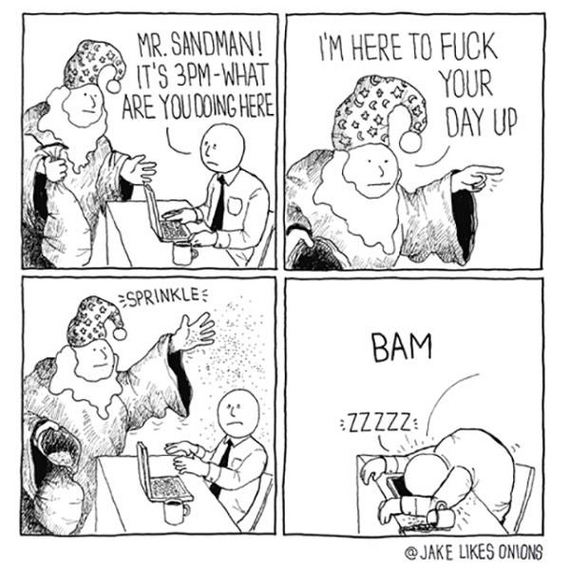 funny-pictures-1255