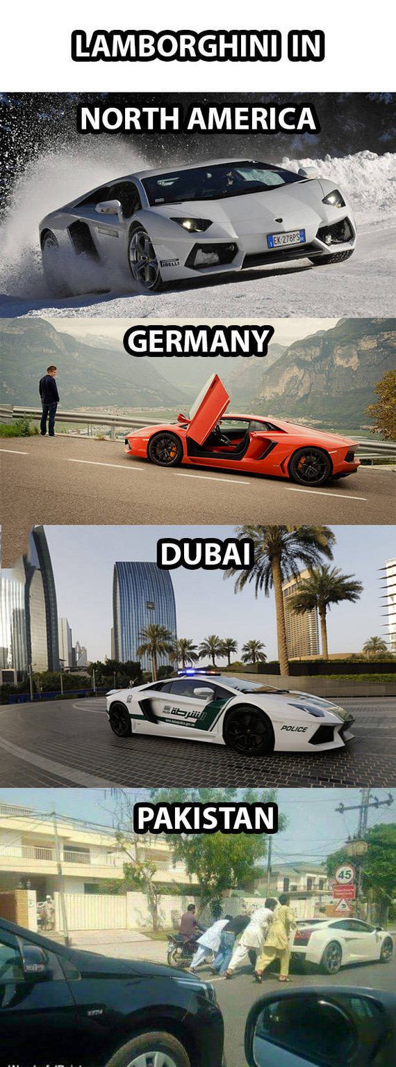 funny-pictures-1255