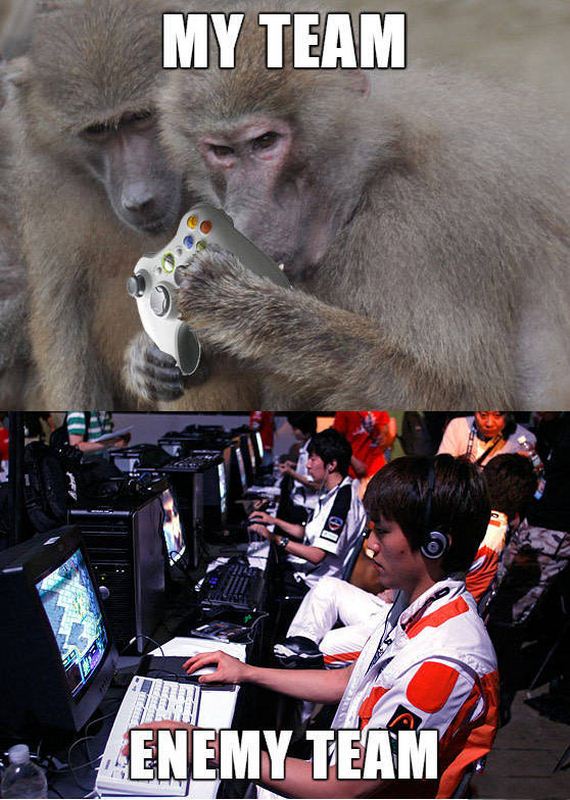 funny-pictures-1255