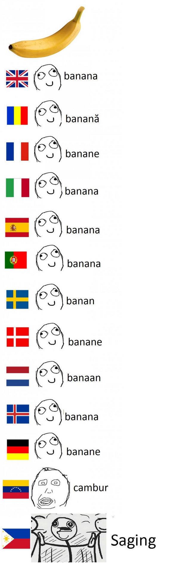 funny-pictures-1255