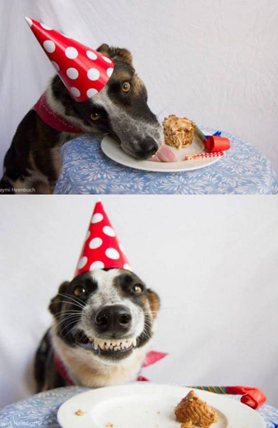funny-pictures-1255