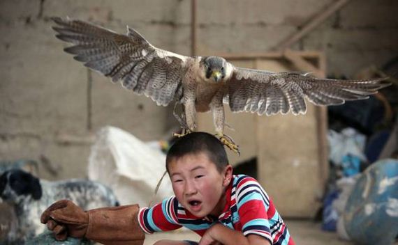 funny-pictures-1258