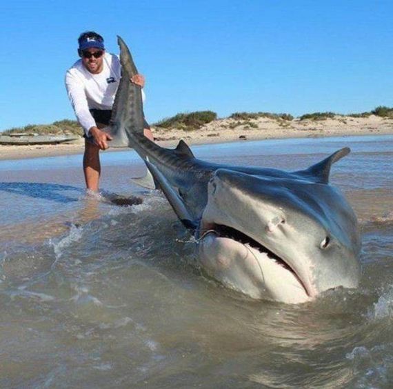 funny-pictures-1258