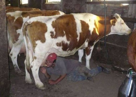 funny-pictures-1258