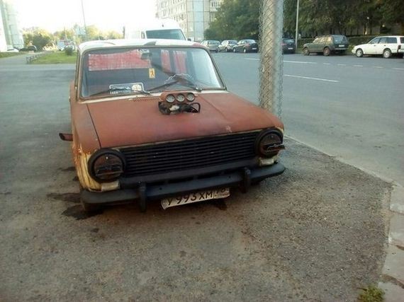 funny-pictures-1260
