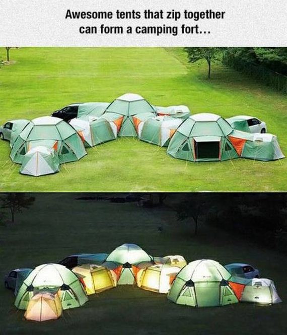 funny-pictures-1260