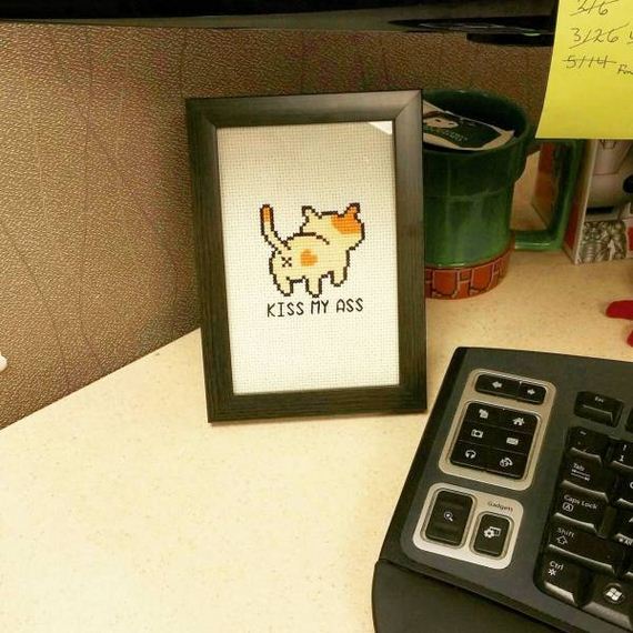 funny-pictures-1260