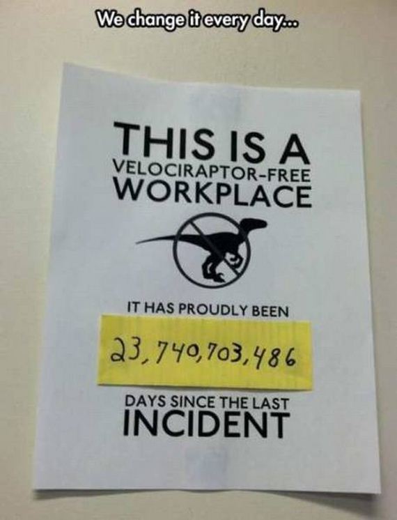 funny-pictures-1260
